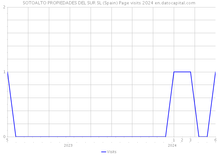 SOTOALTO PROPIEDADES DEL SUR SL (Spain) Page visits 2024 