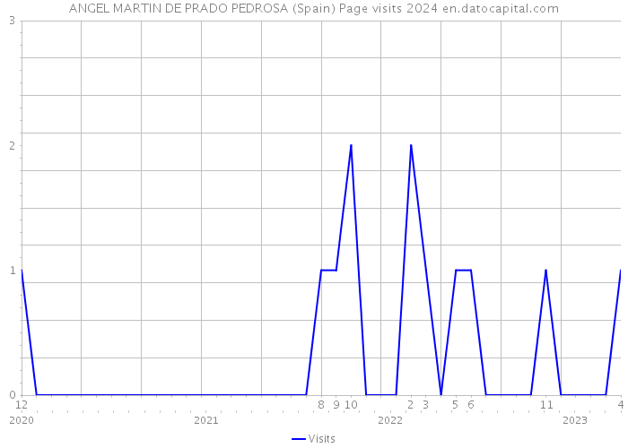 ANGEL MARTIN DE PRADO PEDROSA (Spain) Page visits 2024 