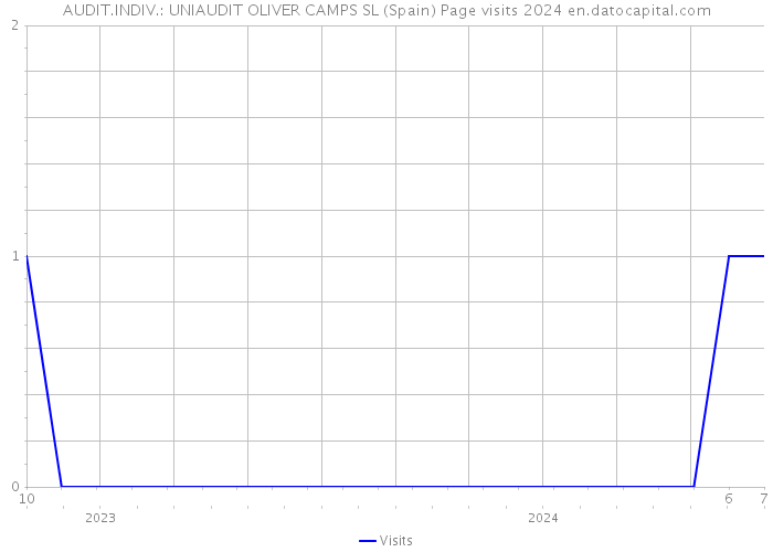 AUDIT.INDIV.: UNIAUDIT OLIVER CAMPS SL (Spain) Page visits 2024 