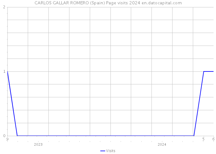 CARLOS GALLAR ROMERO (Spain) Page visits 2024 