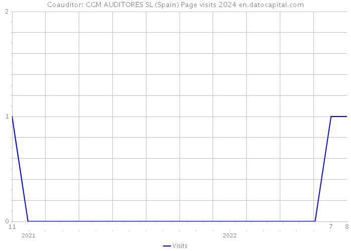 Coauditor: CGM AUDITORES SL (Spain) Page visits 2024 