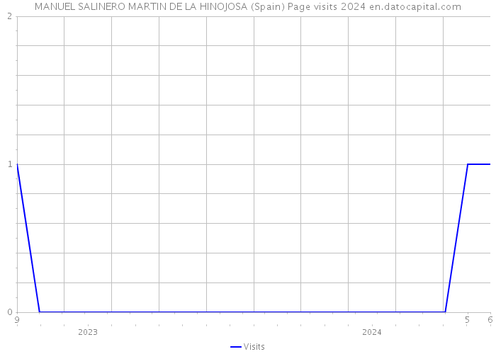 MANUEL SALINERO MARTIN DE LA HINOJOSA (Spain) Page visits 2024 
