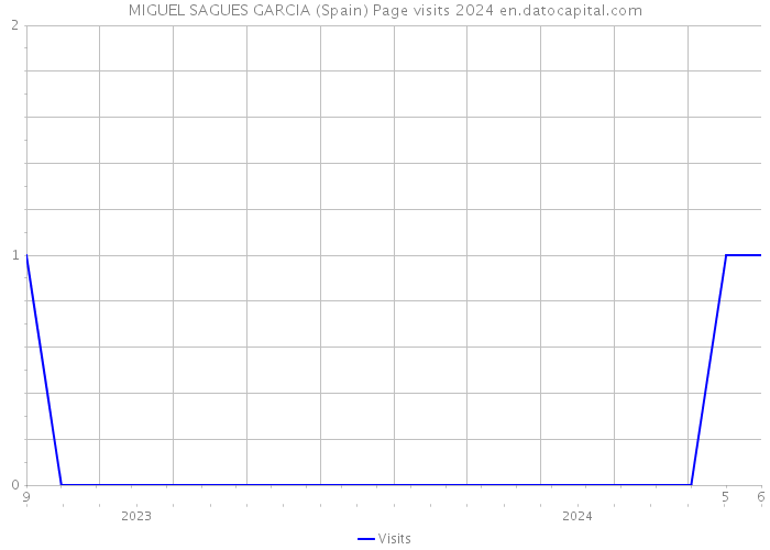 MIGUEL SAGUES GARCIA (Spain) Page visits 2024 