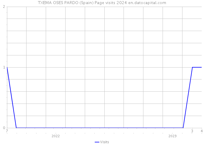 TXEMA OSES PARDO (Spain) Page visits 2024 