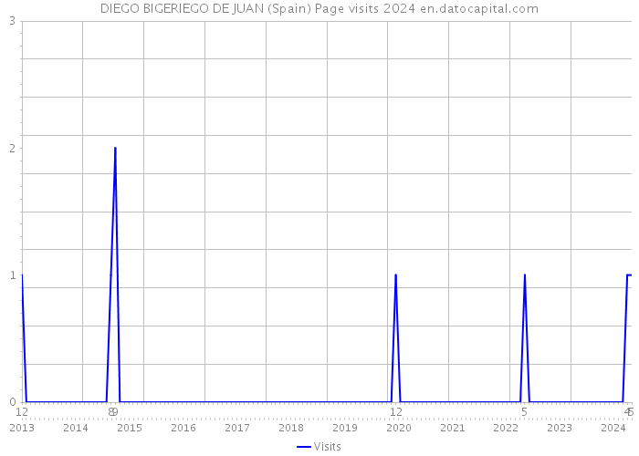 DIEGO BIGERIEGO DE JUAN (Spain) Page visits 2024 