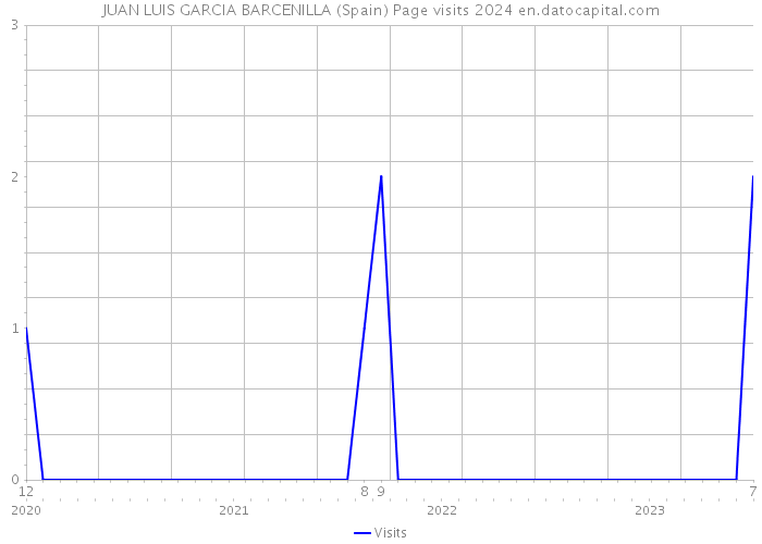 JUAN LUIS GARCIA BARCENILLA (Spain) Page visits 2024 