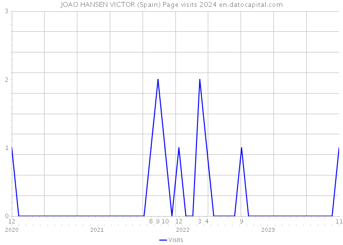 JOAO HANSEN VICTOR (Spain) Page visits 2024 