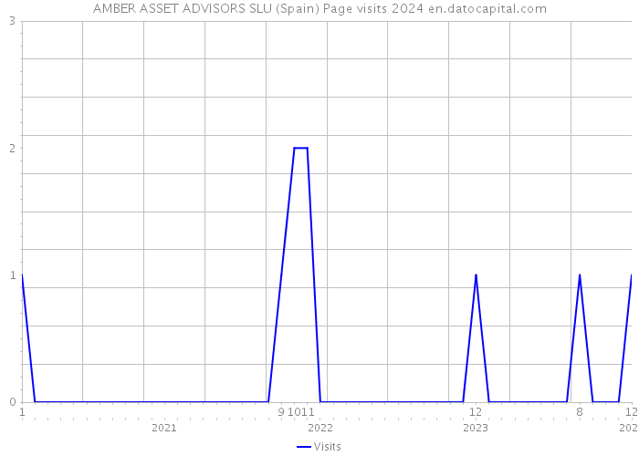 AMBER ASSET ADVISORS SLU (Spain) Page visits 2024 