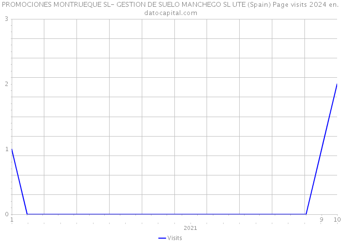 PROMOCIONES MONTRUEQUE SL- GESTION DE SUELO MANCHEGO SL UTE (Spain) Page visits 2024 