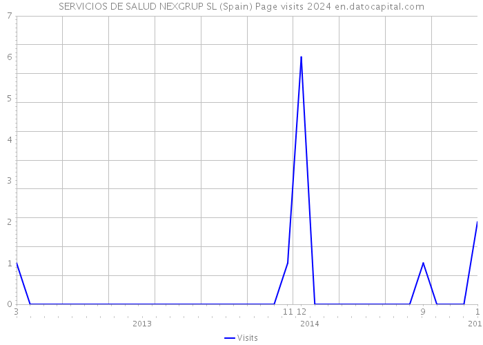 SERVICIOS DE SALUD NEXGRUP SL (Spain) Page visits 2024 