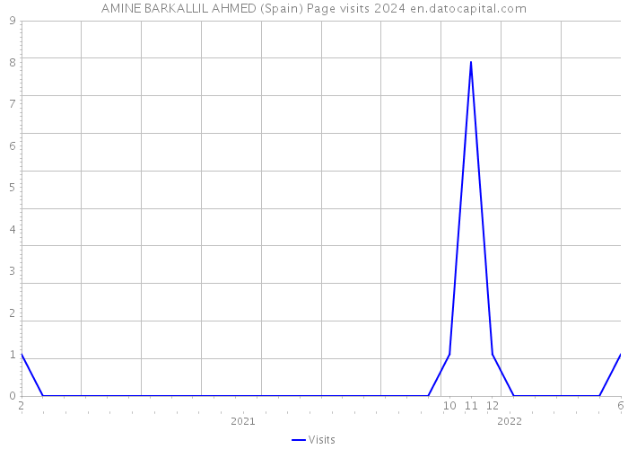 AMINE BARKALLIL AHMED (Spain) Page visits 2024 