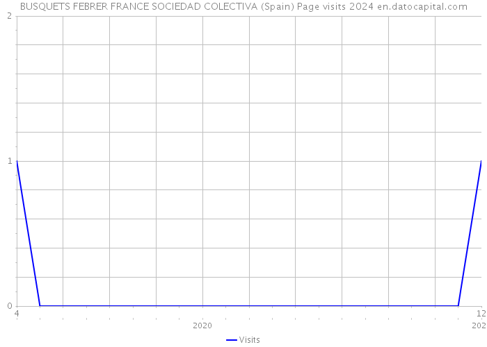 BUSQUETS FEBRER FRANCE SOCIEDAD COLECTIVA (Spain) Page visits 2024 