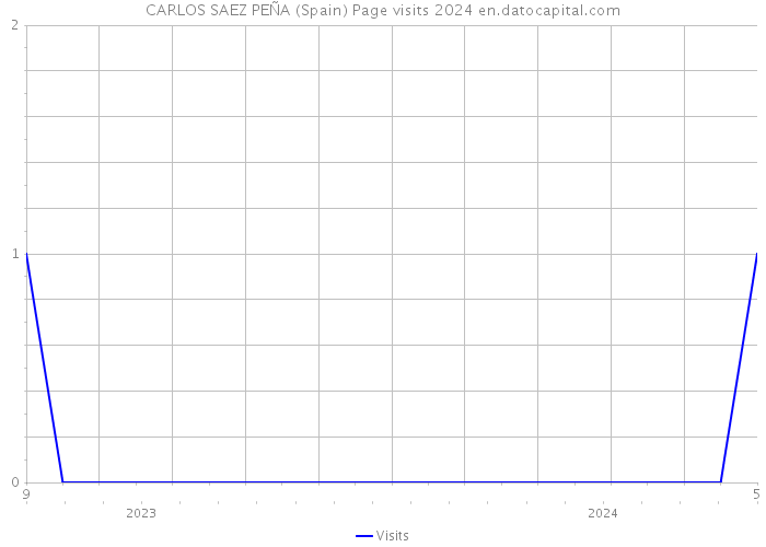 CARLOS SAEZ PEÑA (Spain) Page visits 2024 