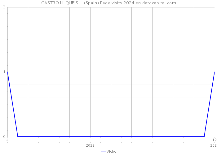 CASTRO LUQUE S.L. (Spain) Page visits 2024 