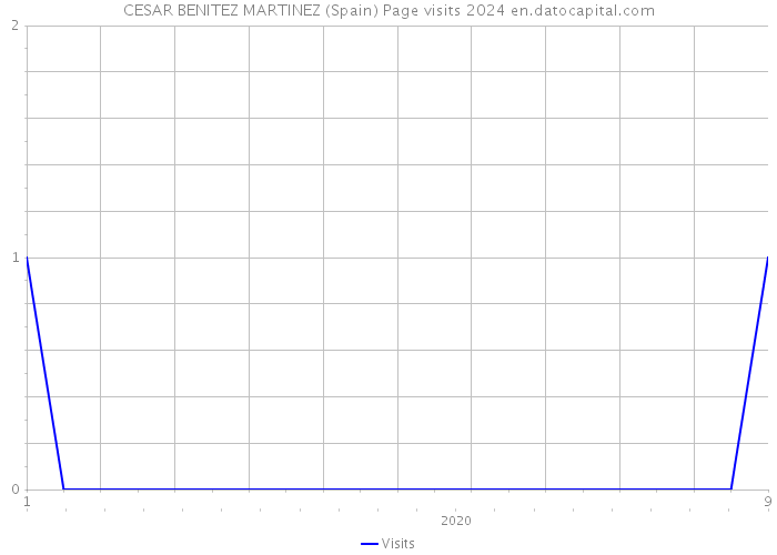 CESAR BENITEZ MARTINEZ (Spain) Page visits 2024 