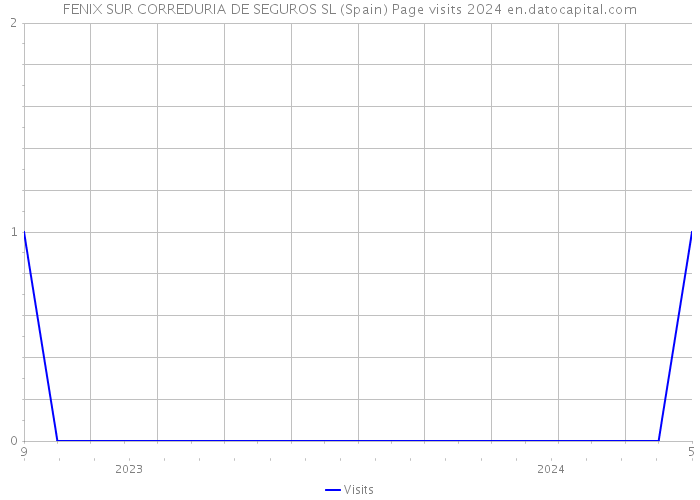 FENIX SUR CORREDURIA DE SEGUROS SL (Spain) Page visits 2024 