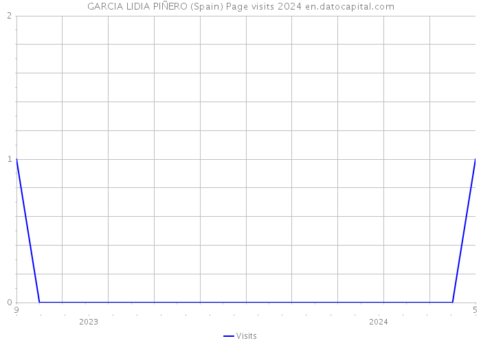 GARCIA LIDIA PIÑERO (Spain) Page visits 2024 