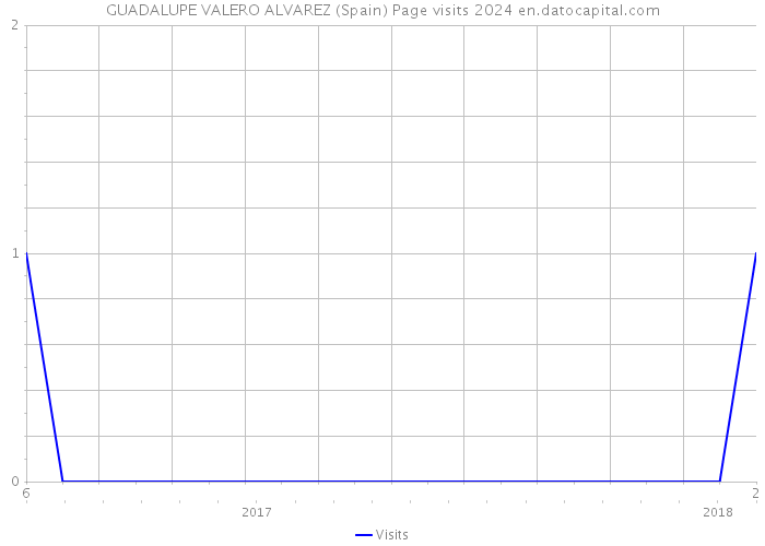 GUADALUPE VALERO ALVAREZ (Spain) Page visits 2024 