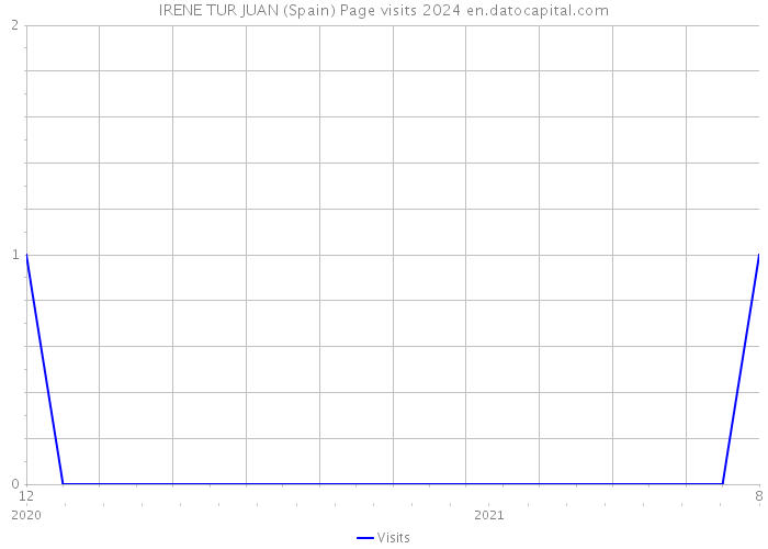 IRENE TUR JUAN (Spain) Page visits 2024 