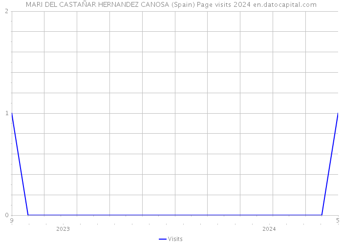 MARI DEL CASTAÑAR HERNANDEZ CANOSA (Spain) Page visits 2024 