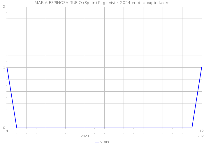 MARIA ESPINOSA RUBIO (Spain) Page visits 2024 