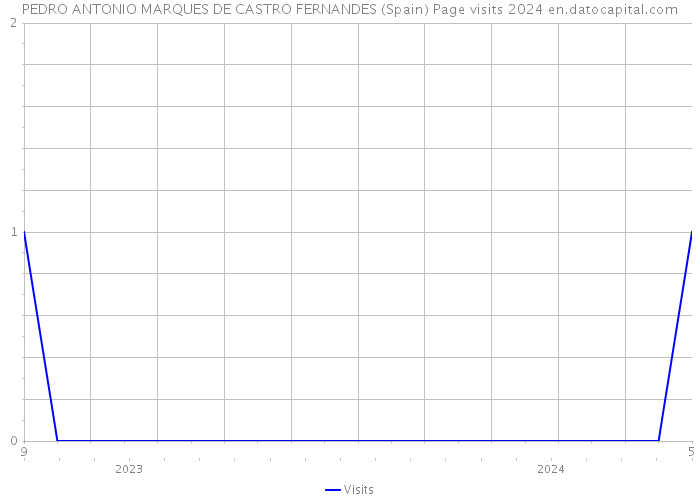 PEDRO ANTONIO MARQUES DE CASTRO FERNANDES (Spain) Page visits 2024 