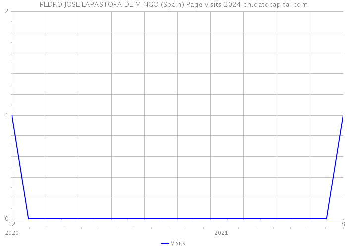 PEDRO JOSE LAPASTORA DE MINGO (Spain) Page visits 2024 