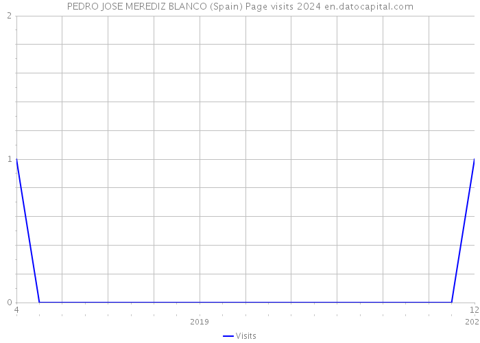 PEDRO JOSE MEREDIZ BLANCO (Spain) Page visits 2024 