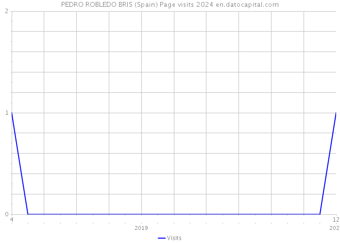 PEDRO ROBLEDO BRIS (Spain) Page visits 2024 