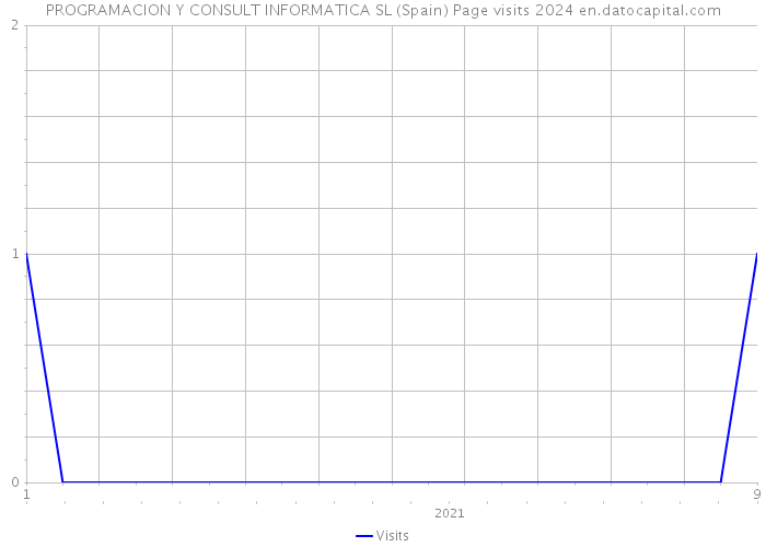 PROGRAMACION Y CONSULT INFORMATICA SL (Spain) Page visits 2024 