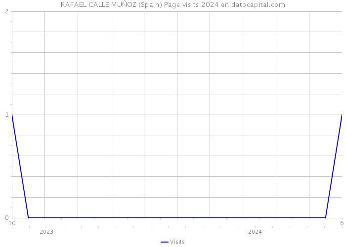 RAFAEL CALLE MUÑOZ (Spain) Page visits 2024 