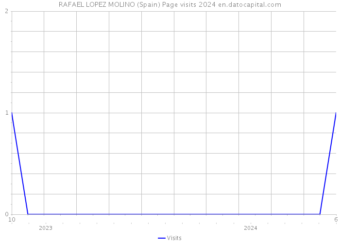 RAFAEL LOPEZ MOLINO (Spain) Page visits 2024 