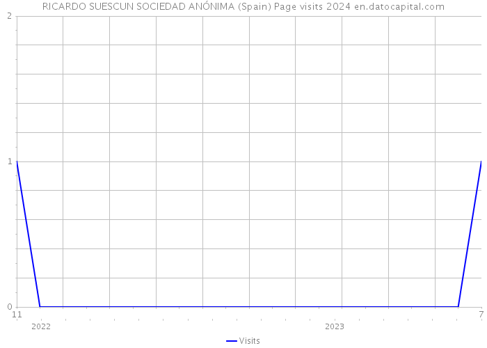 RICARDO SUESCUN SOCIEDAD ANÓNIMA (Spain) Page visits 2024 