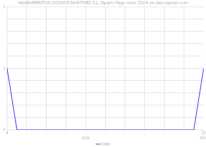 SANEAMIENTOS GIGOSOS MARTINEZ S.L. (Spain) Page visits 2024 