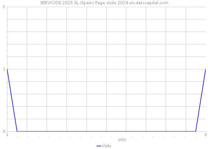 SERVICIOS 2025 SL (Spain) Page visits 2024 