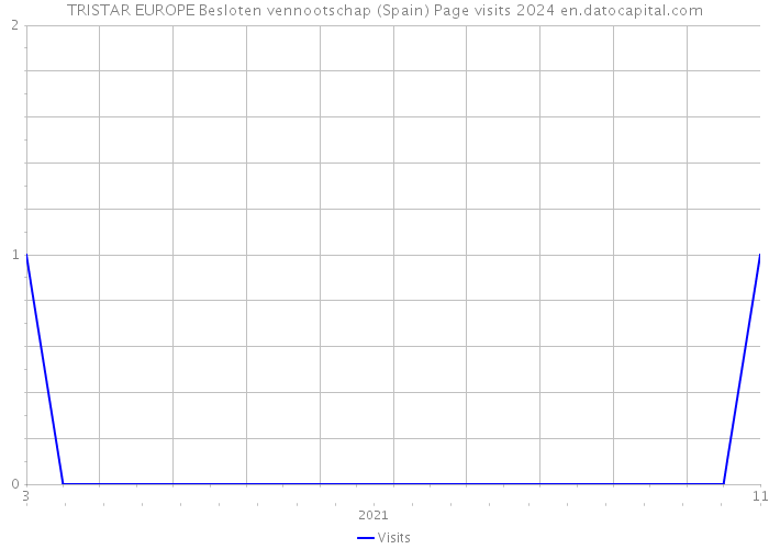 TRISTAR EUROPE Besloten vennootschap (Spain) Page visits 2024 