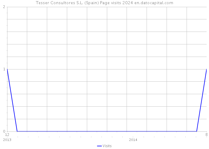 Tesser Consultores S.L. (Spain) Page visits 2024 