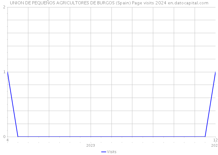 UNION DE PEQUEÑOS AGRICULTORES DE BURGOS (Spain) Page visits 2024 