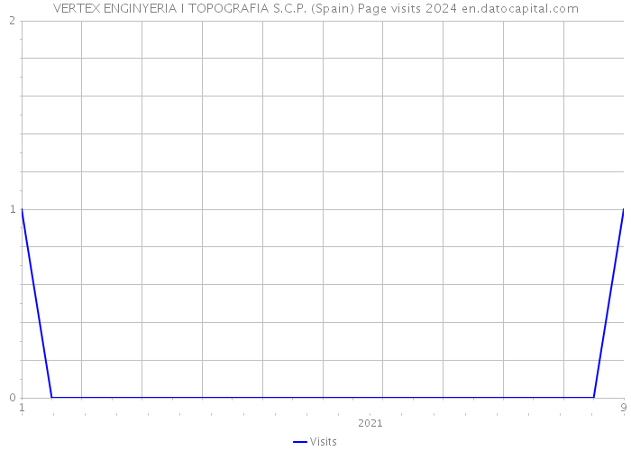 VERTEX ENGINYERIA I TOPOGRAFIA S.C.P. (Spain) Page visits 2024 