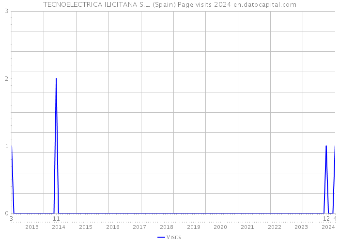 TECNOELECTRICA ILICITANA S.L. (Spain) Page visits 2024 
