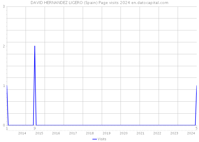 DAVID HERNANDEZ LIGERO (Spain) Page visits 2024 