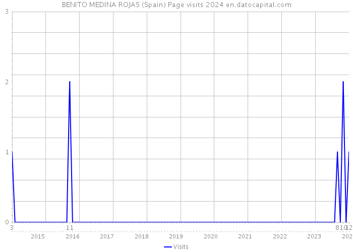 BENITO MEDINA ROJAS (Spain) Page visits 2024 