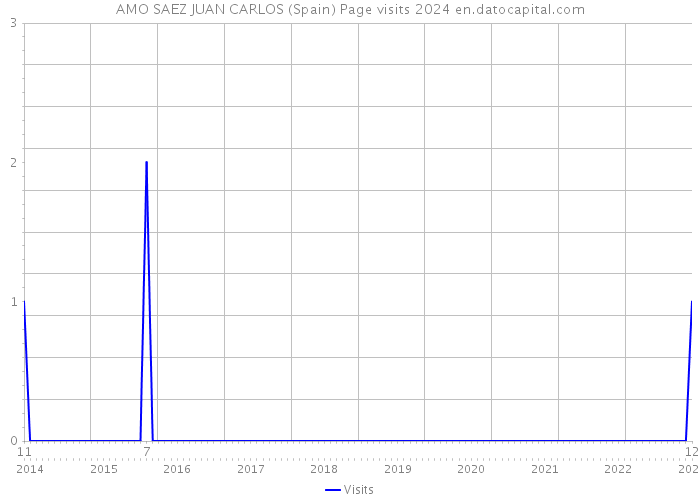 AMO SAEZ JUAN CARLOS (Spain) Page visits 2024 