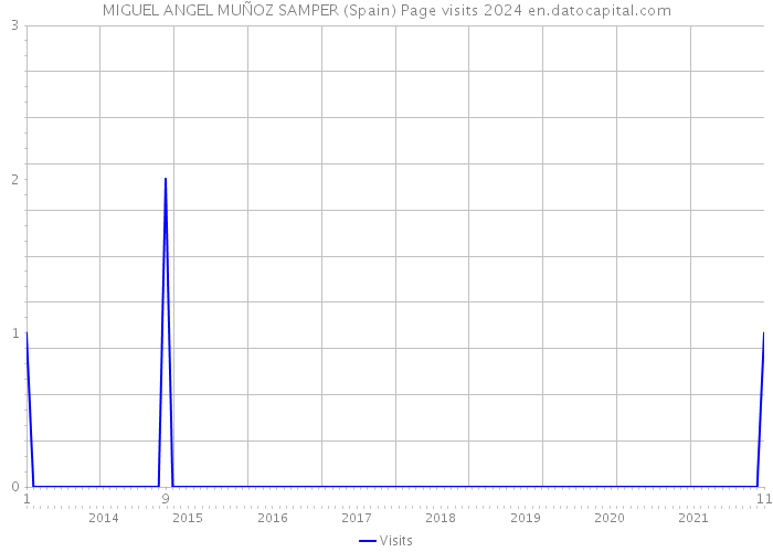 MIGUEL ANGEL MUÑOZ SAMPER (Spain) Page visits 2024 