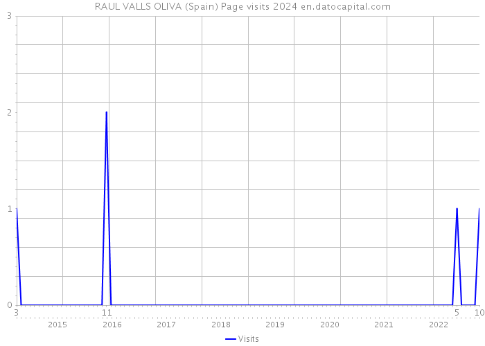 RAUL VALLS OLIVA (Spain) Page visits 2024 