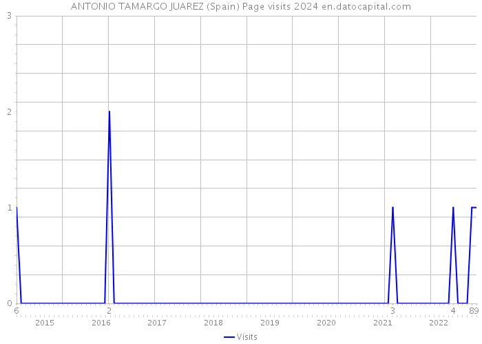 ANTONIO TAMARGO JUAREZ (Spain) Page visits 2024 