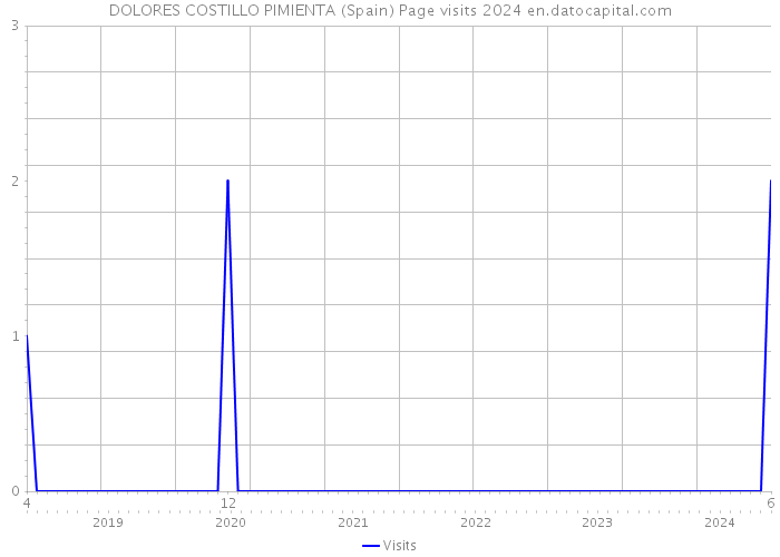 DOLORES COSTILLO PIMIENTA (Spain) Page visits 2024 