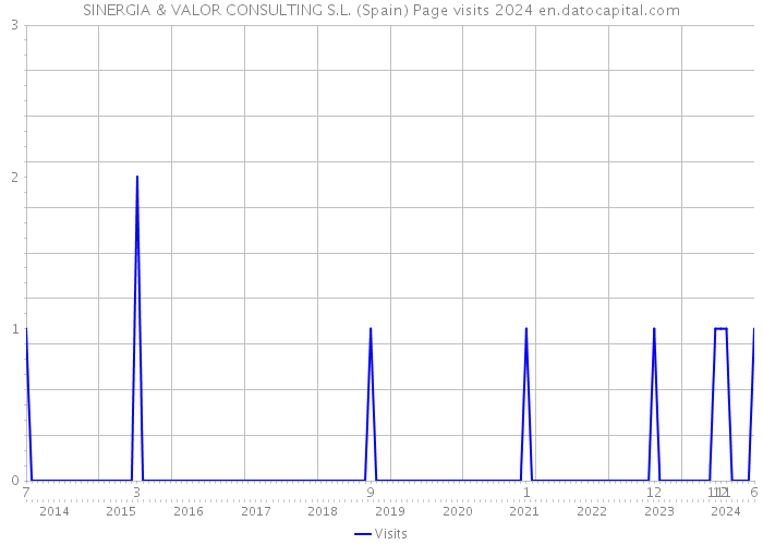 SINERGIA & VALOR CONSULTING S.L. (Spain) Page visits 2024 