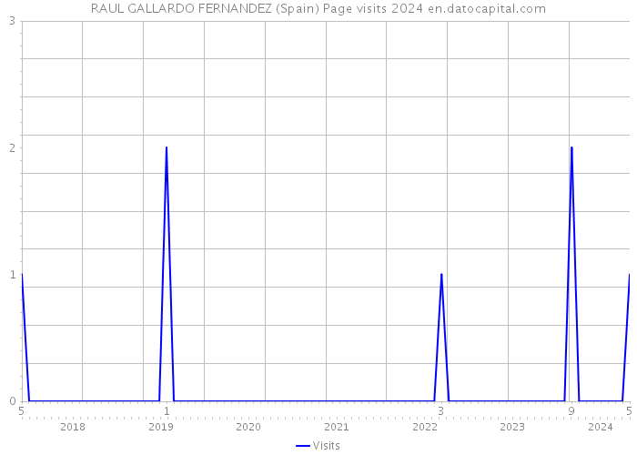 RAUL GALLARDO FERNANDEZ (Spain) Page visits 2024 