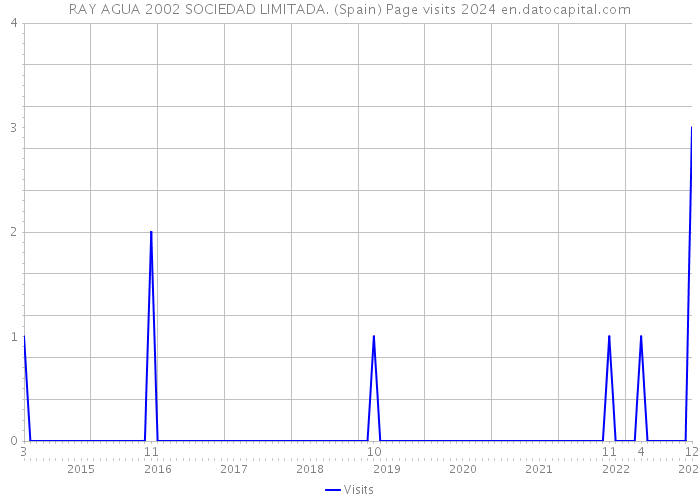 RAY AGUA 2002 SOCIEDAD LIMITADA. (Spain) Page visits 2024 
